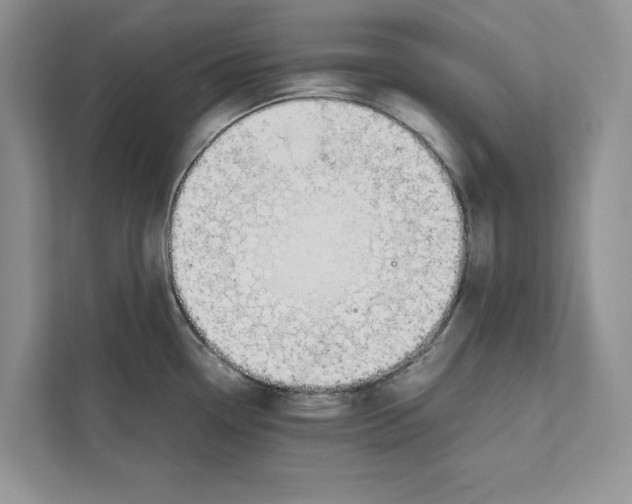 X0000110911338200907161451