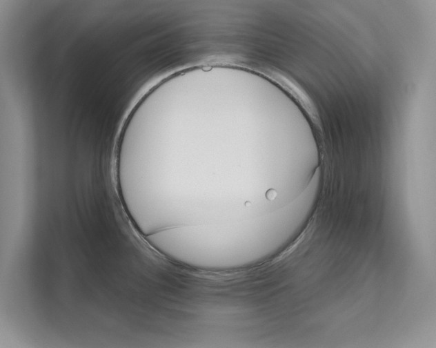 X0000110911340200907161451