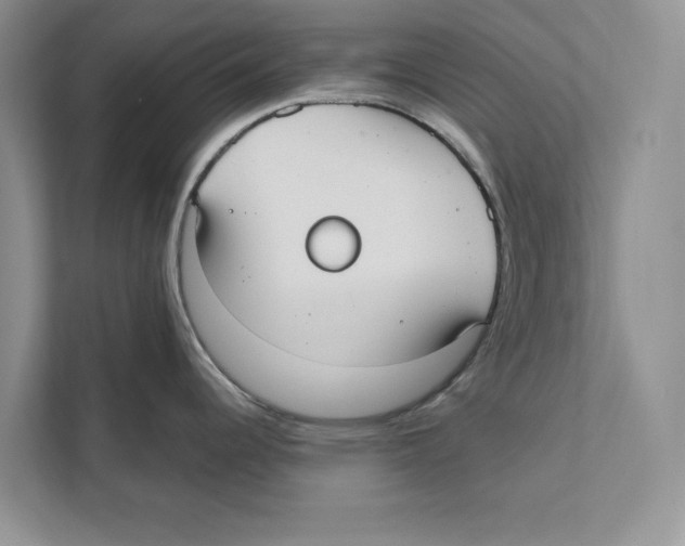 X0000110911344200907161451