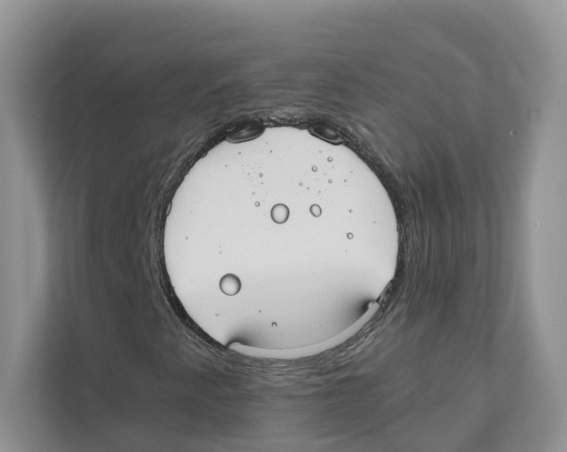 X0000110911345200907161450