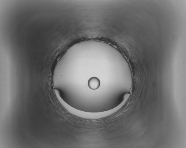 X0000110911349200907161450