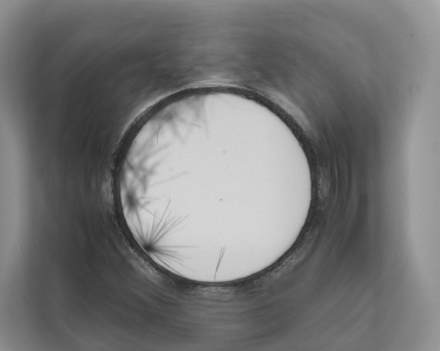 X0000110911356200907161450