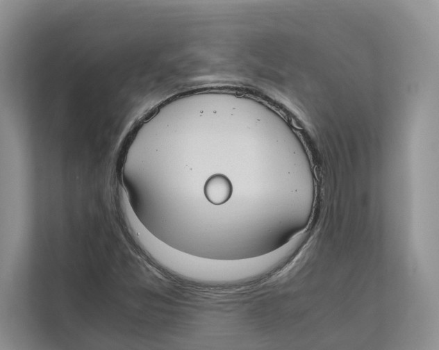 X0000110911357200907161450