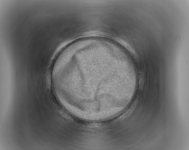 X0000110911358200907161450