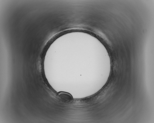 X0000110911360200907161450