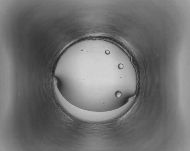 X0000110911361200907161450