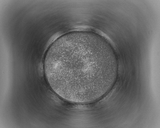 X0000110911362200907161450