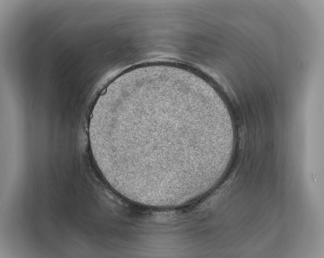 X0000110911363200907161450