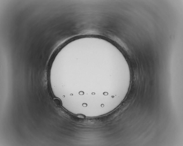 X0000110911364200907161450