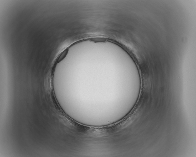 X0000110911365200907161450