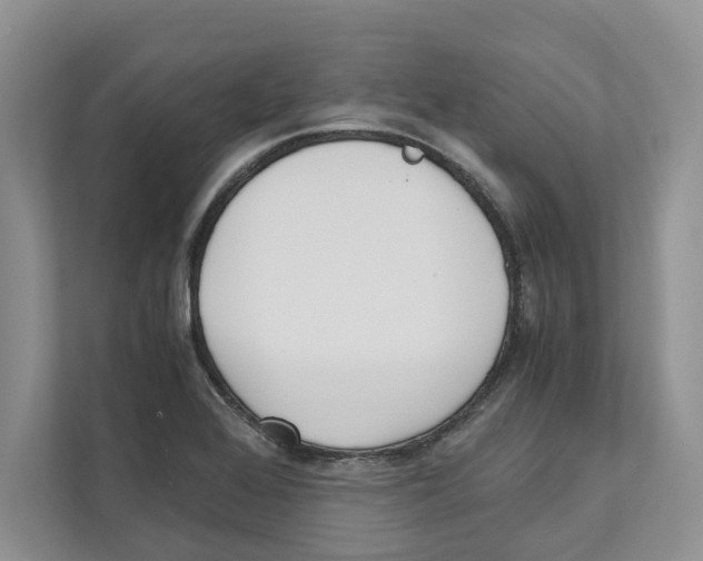 X0000110911368200907161450