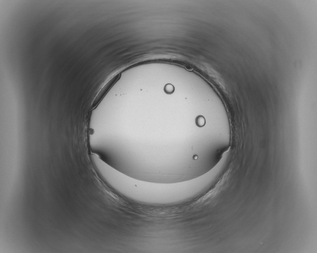 X0000110911369200907161450