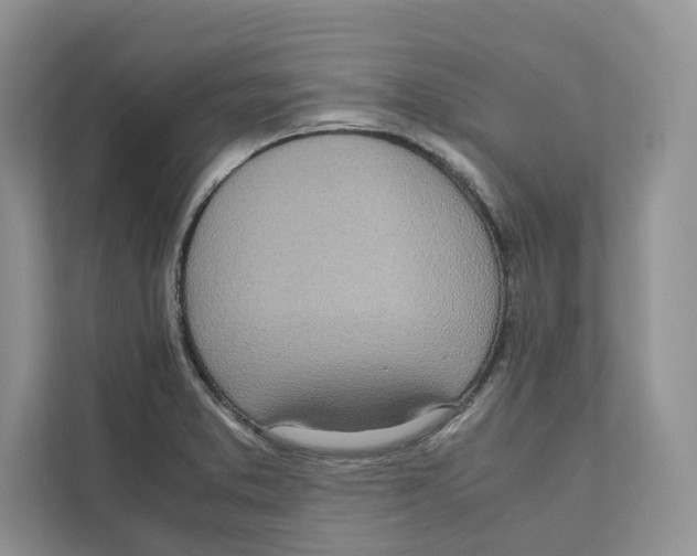 X0000110911373200907161450