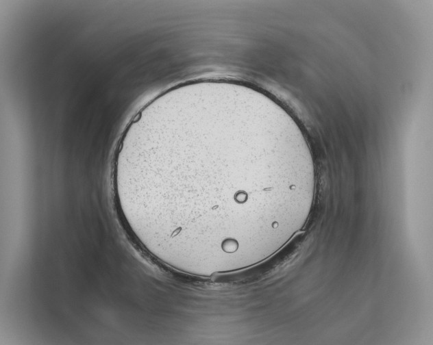 X0000110911375200907161450