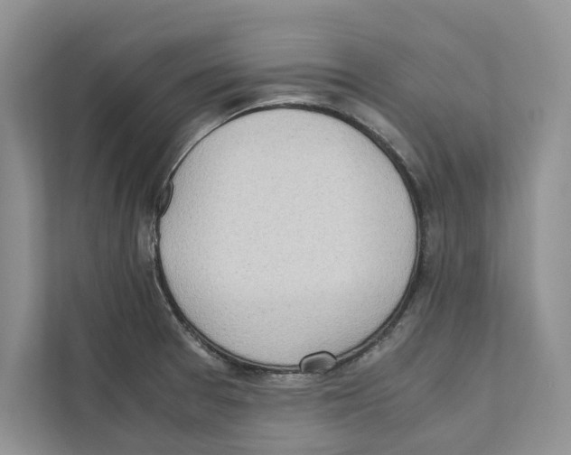 X0000110911377200907161450