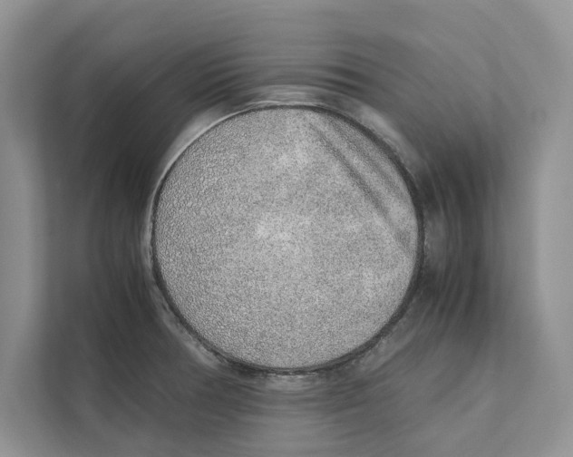 X0000110911378200907161450