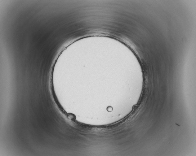 X0000110911379200907161450