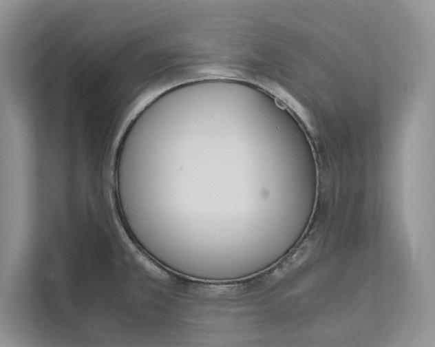 X0000110911381200907161450