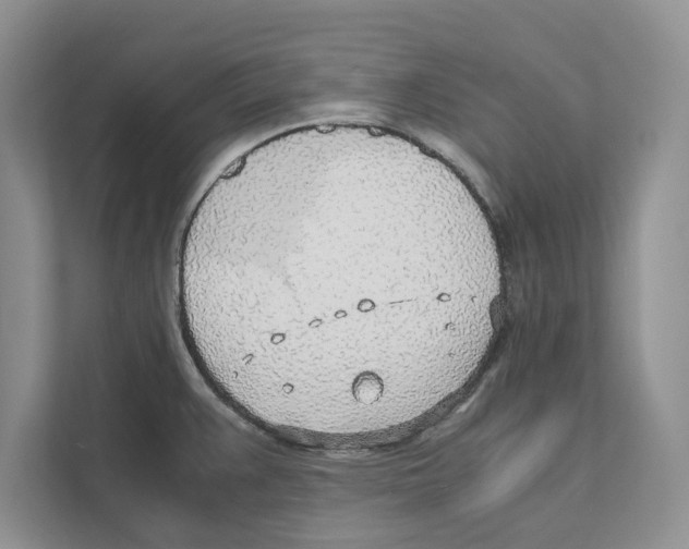 X0000110911383200907161450