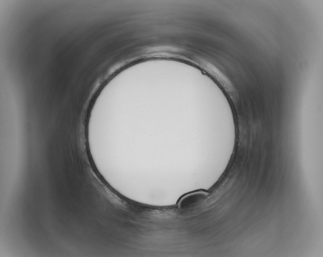 X0000110911384200907161450