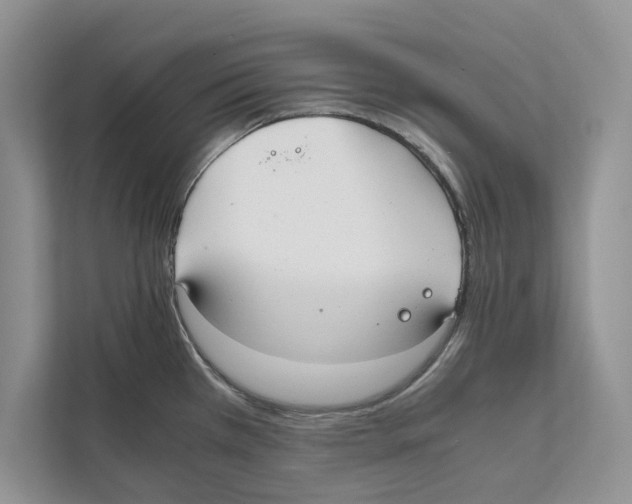 X0000110911385200907161450