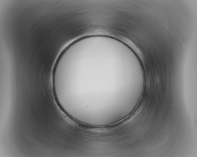 X0000110911388200907161450