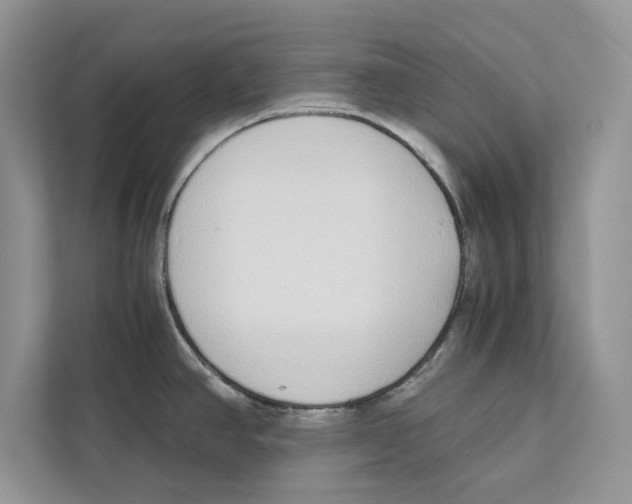 X0000110911390200907161450