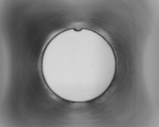 X0000110911392200907161450