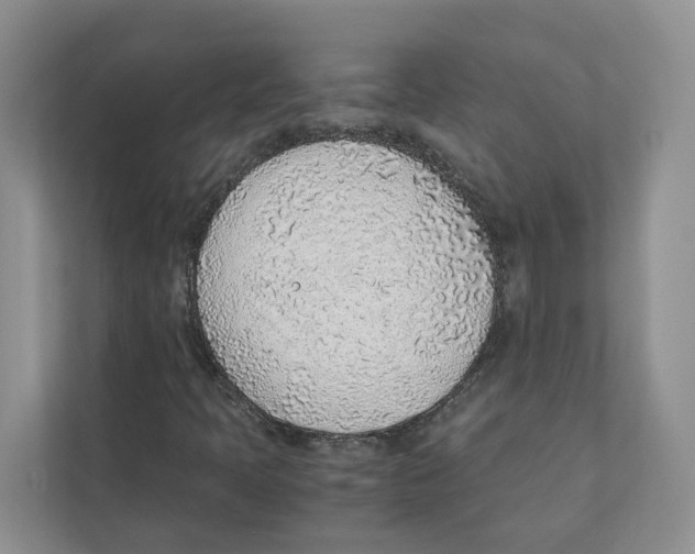 X0000110911397200907161449