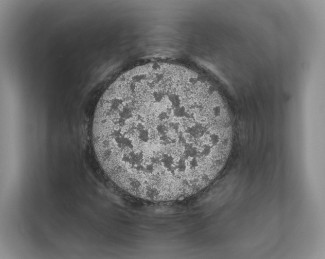 X0000110911399200907161449