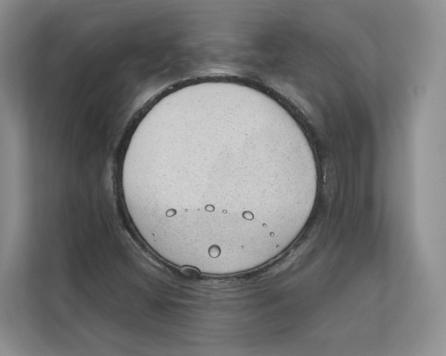 X0000110911404200907161449