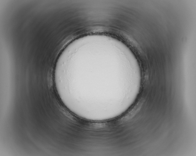 X0000110911409200907161449