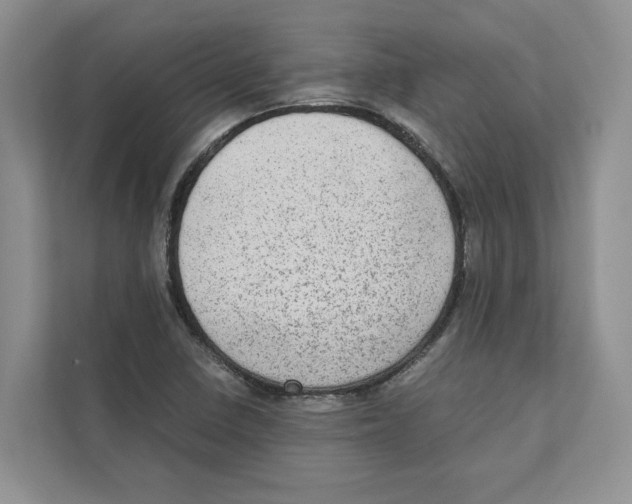 X0000110911410200907161449