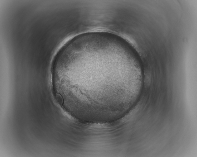 X0000110911414200907161449