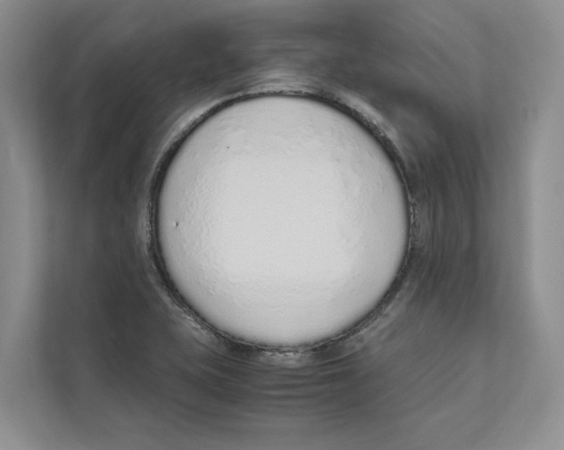 X0000110911415200907161449