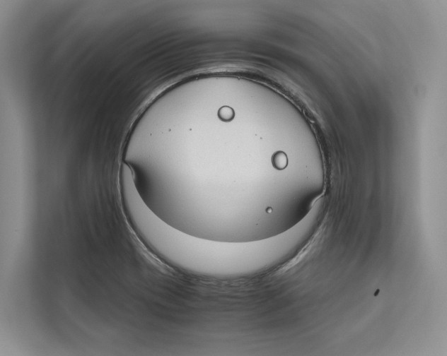 X0000110911417200907161449