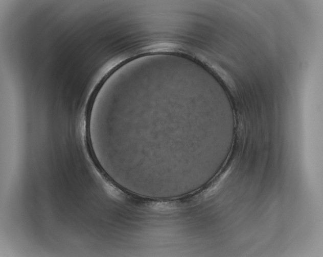 X0000110911418200907161449