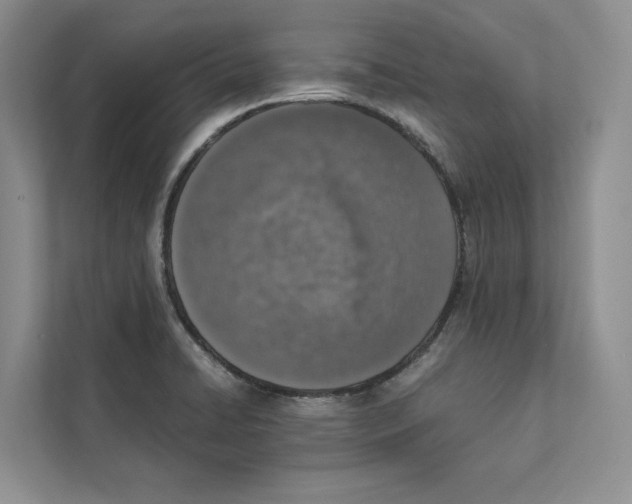 X0000110911422200907161449