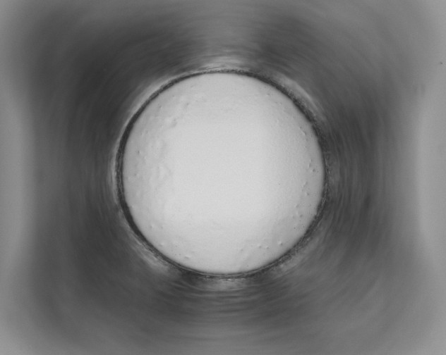 X0000110911423200907161449