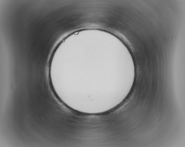 X0000110911424200907161449