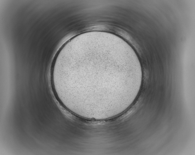 X0000110911426200907161449