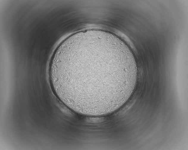 X0000110911427200907161449