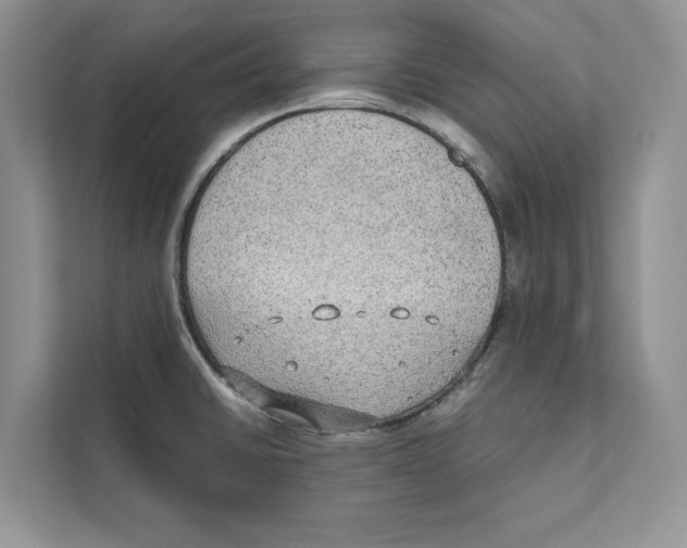 X0000110911430200907161449