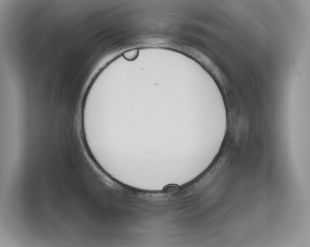 X0000110911432200907161449