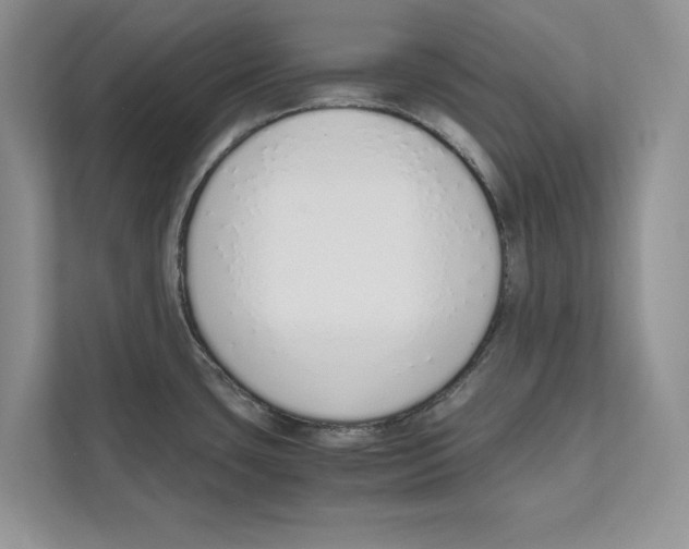 X0000110911435200907161449