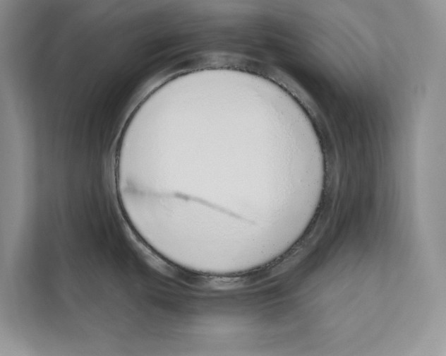 X0000110911439200907161450