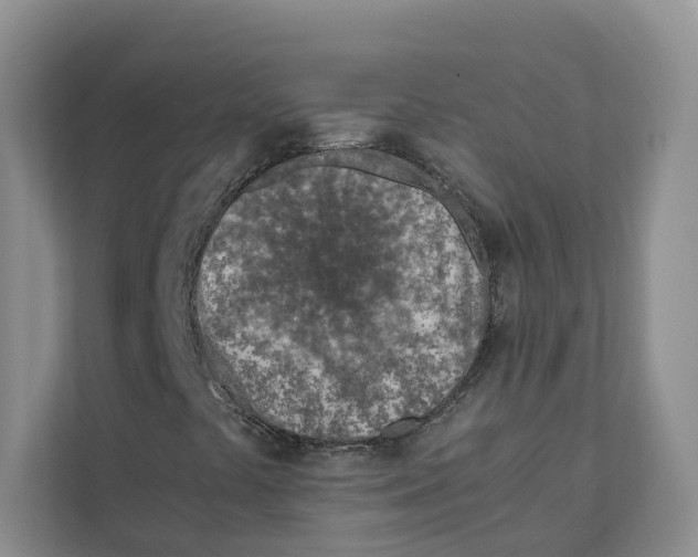 X0000110911441200907161449