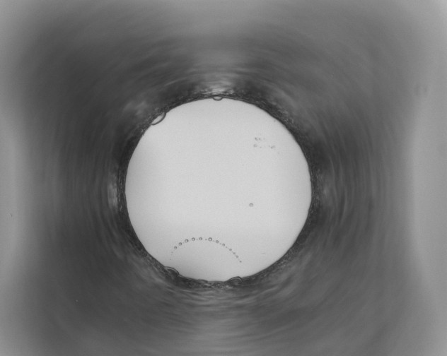 X0000110911442200907161449