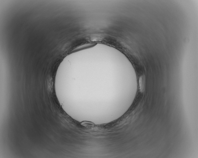 X0000110911443200907161449