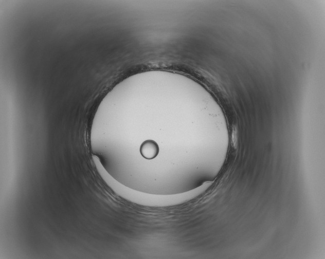 X0000110911444200907161449